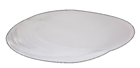 Drufosoft 2.0mm x 120mm transparant D-42511 50st  