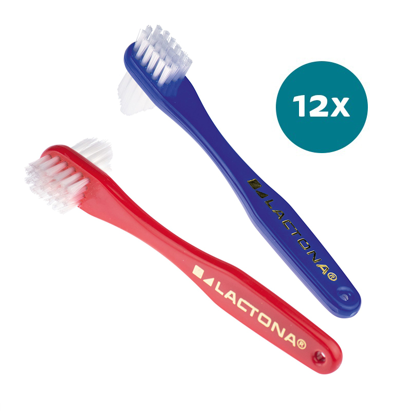 Lactona protheseborstel 12 stuks