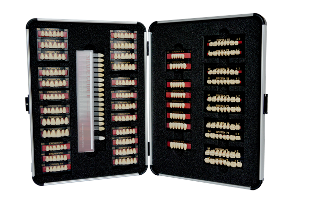 Yamahachi levende vormenkaart Tanden Crown NS en kiezen Efucera NS  Kleur D3