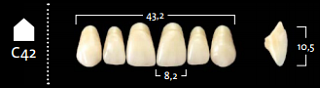 Crown NS A3*C42 boven 