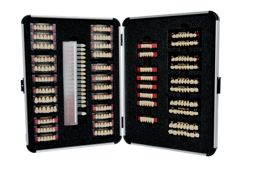 [8888880919] Yamahachi levende vormenkaart Tanden Crown NS en kiezen Efucera NS  Kleur C4