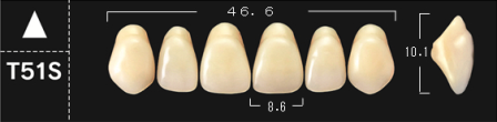 [4740425151] Crown PX D4*T51S boven 
