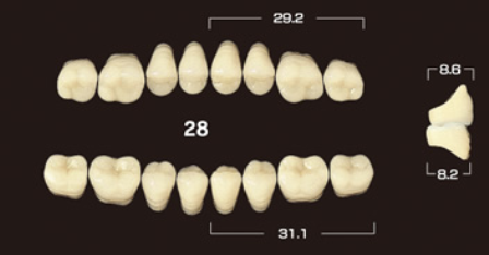 [4813500282] Efucera PX A35*28 onder 