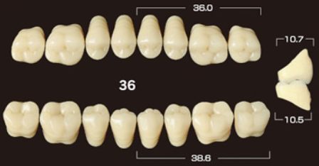 [5190500362] Efucera NS WO5*36 onder 